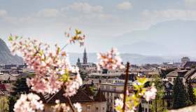 Bolzano, la città dei fiori: luoghi e itinerari nei dintorni