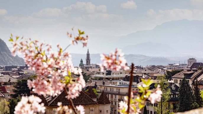 Bolzano, la città dei fiori: luoghi e itinerari nei dintorni