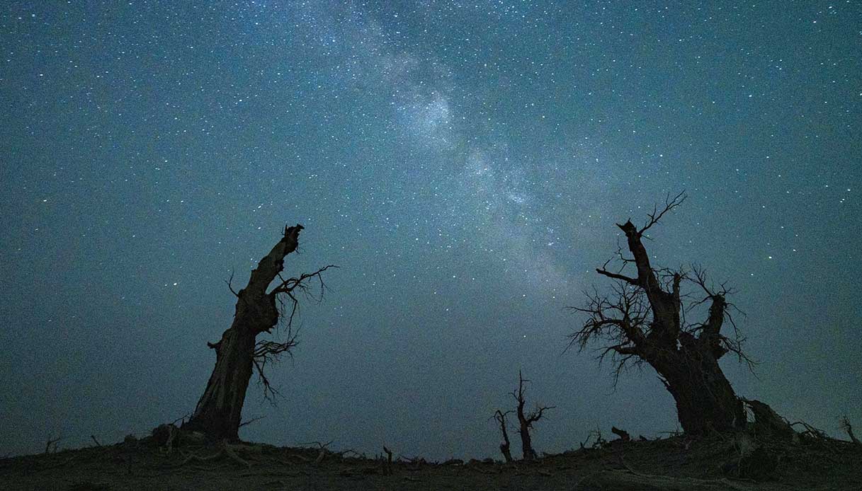 Uomo Sotto Una Bella Notte Nel Deserto Sotto La Luce Delle Stelle