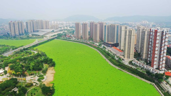 Sembra un fotomontaggio, ma questo fiume verde esiste davvero