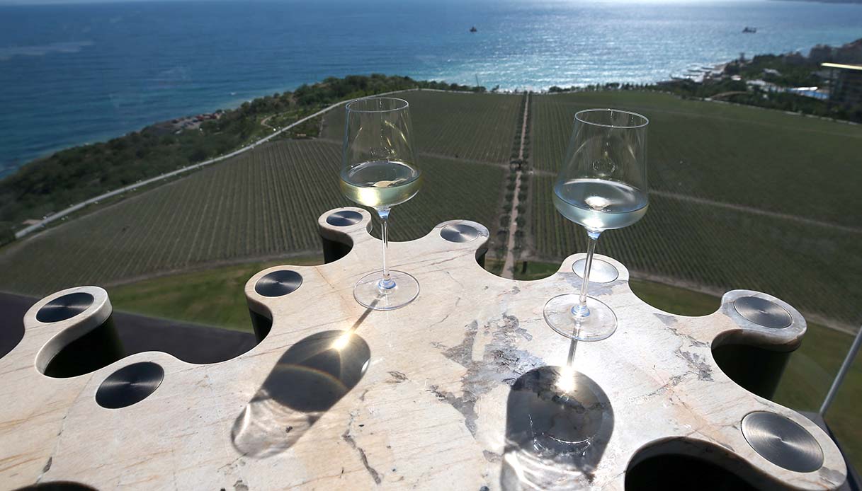 Wine Park Crimea