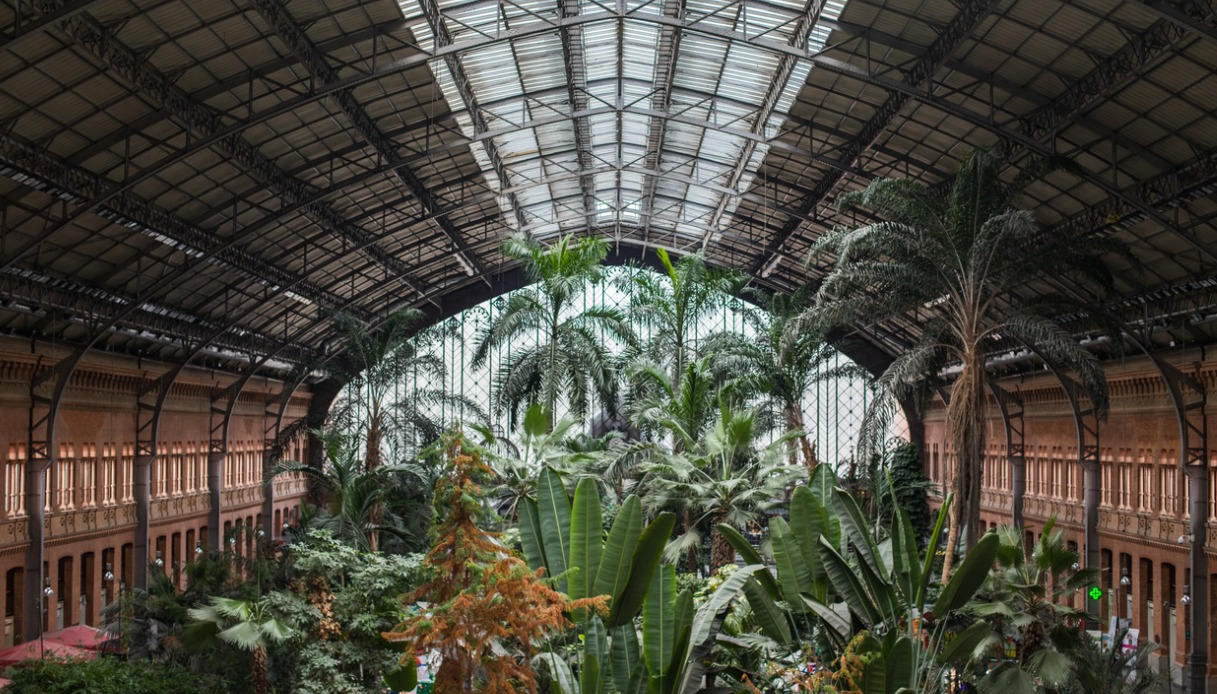 Stazione di Atocha, Madrid