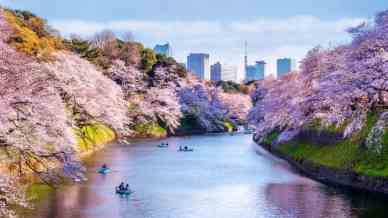 Olimpiadi di Tokyo, le magnifiche località delle gare