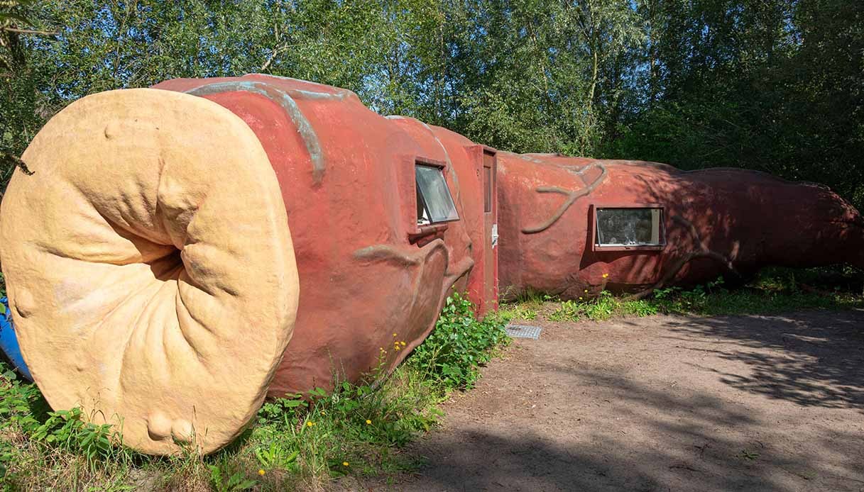 E tu, dormiresti mai in un colon gigante?