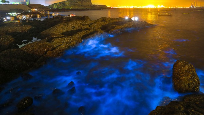 L’alga fluorescente sta illuminando questa spiaggia: ora il mare è blu