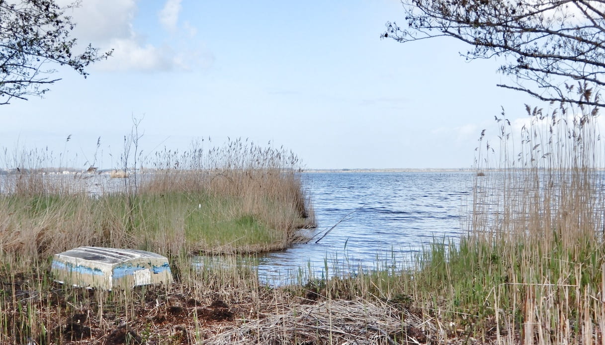 Il lago di Massaciuccoli, perfetto per il birdwatching