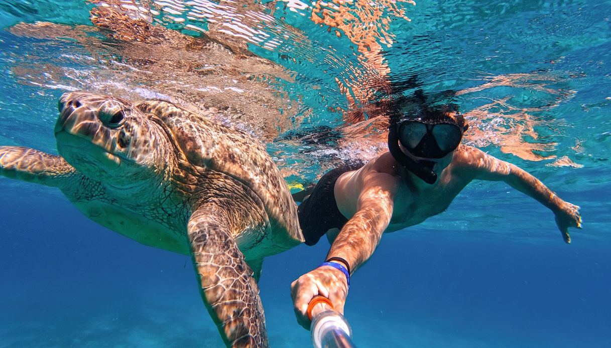 Nuotare con tartarughe a Marsa Alam, Egitto