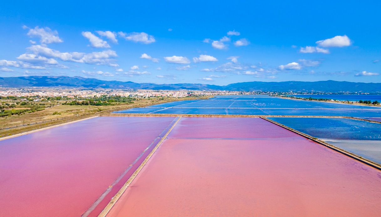 Parco Regionale delle Saline a Cagliari Molentargius