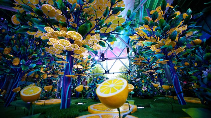 Un suggestivo giardino di limoni è apparso nel cuore di Manhattan