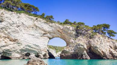 Viaggio profumato alla scoperta degli agrumeti del Gargano