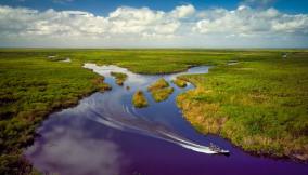 Le Everglades, paesaggio unico della Florida