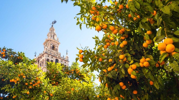 Siviglia è la città delle arance: il modo in cui si usano ti stupirà