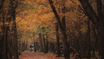 Meraviglioso Piemonte: itinerari slow per scoprire la regione in autunno