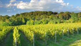 La strada del vino in Franciacorta, fra vigneti e castelli