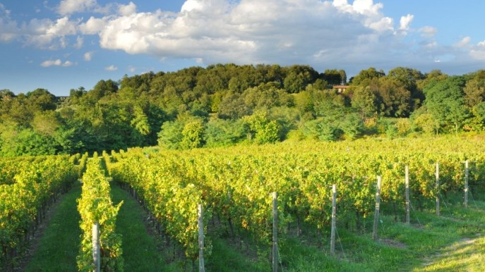 La strada del vino in Franciacorta, fra vigneti e castelli
