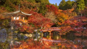 Cartoline d'autunno da Kyoto: la caccia alle foglie ha inizio