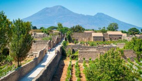 I vigneti tra le domus di Pompei