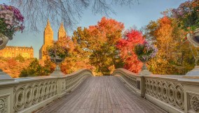 bow bridge Autumn in New York