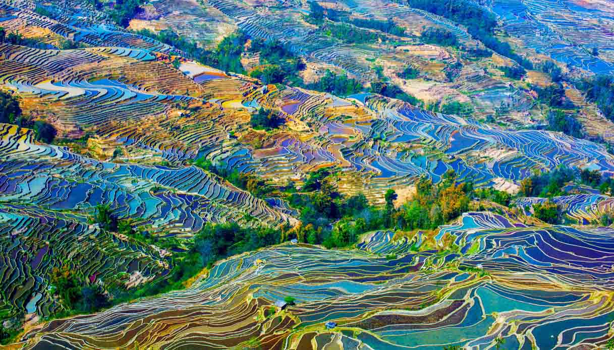 Terrazze di riso Honghe Hani