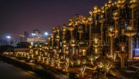 Shanghai: i mille alberi illuminati sono un incanto