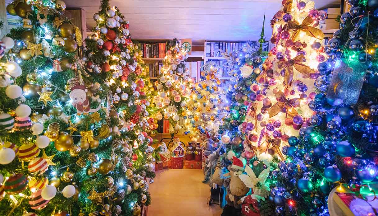 Christmas tree world record