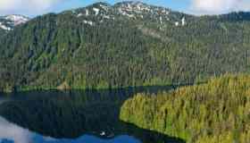 Voglia di verde: le foreste più grandi del mondo
