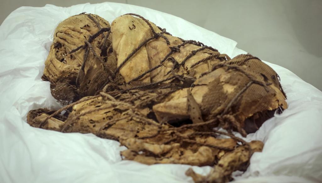 mummia Cajamarquilla
