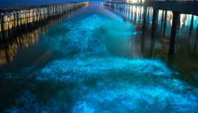 Bioluminescenza nell'acqua