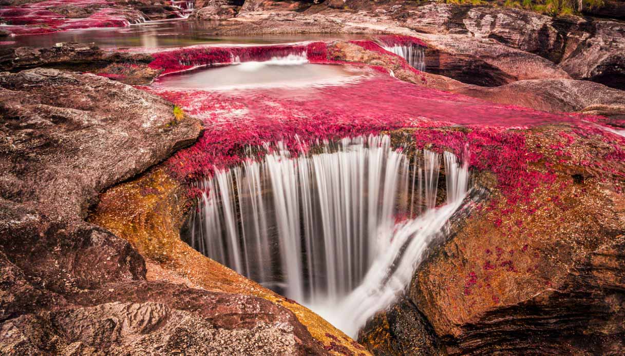 Il fiume più bello del mondo è un arcobaleno liquido di colori