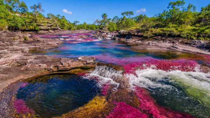 Il fiume più bello del mondo è un arcobaleno liquido di colori