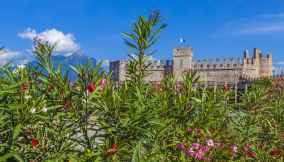Il Castello di Torri del Benaco, immerso nella natura