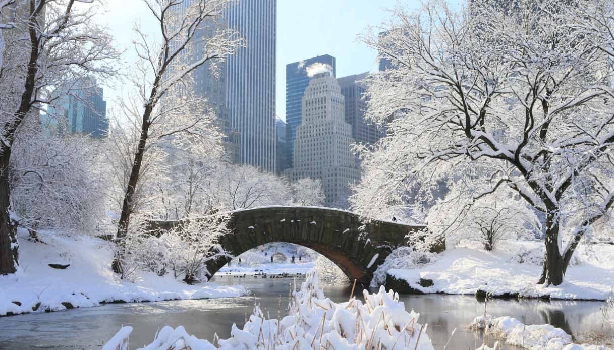 New York in inverno