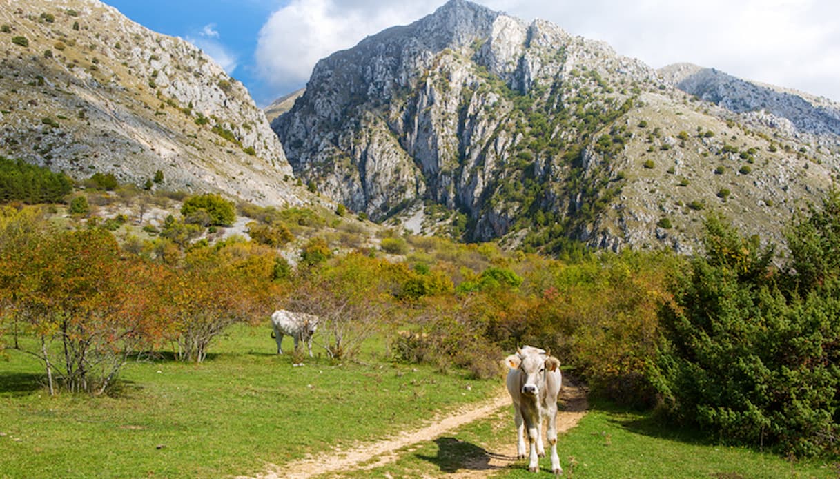 Parco Regionale Sirente-Velino, Abruzzo