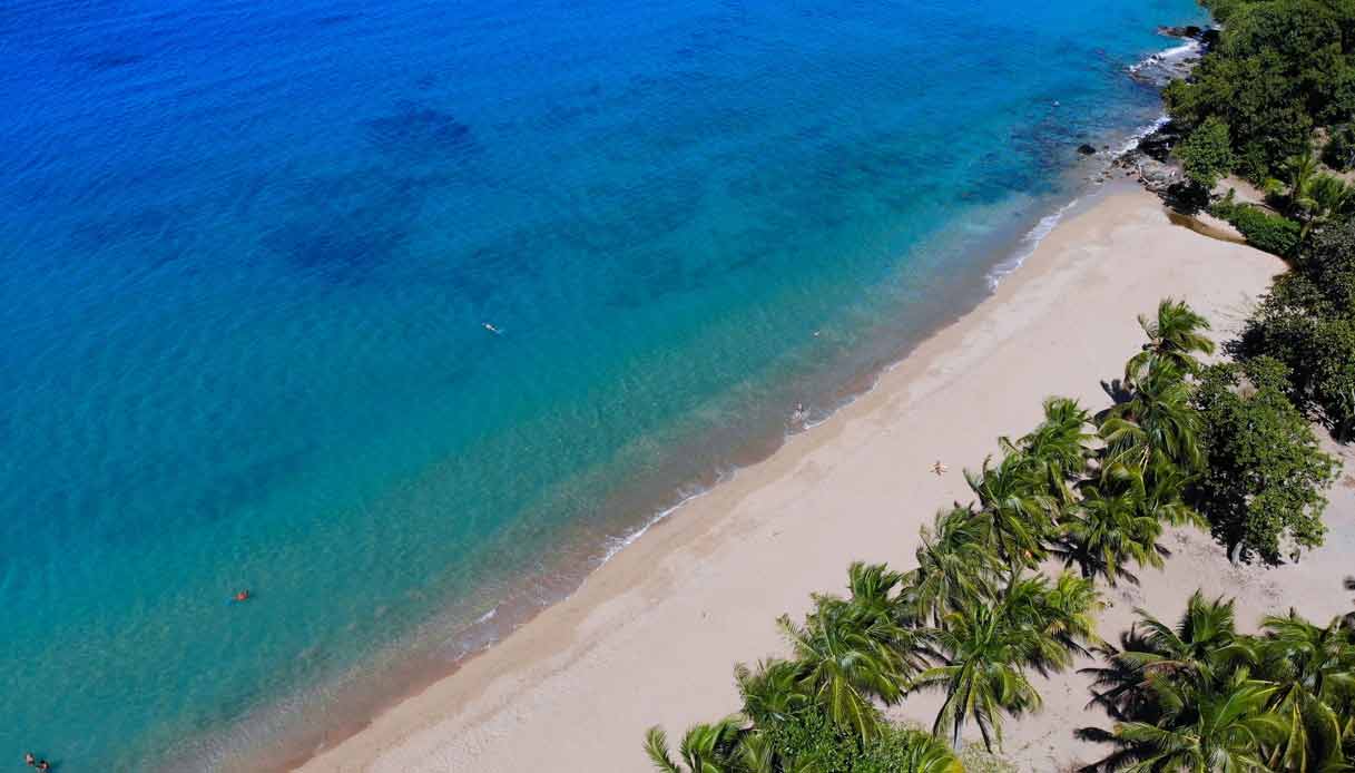 guadalupa-spiaggia-Grande-Anse