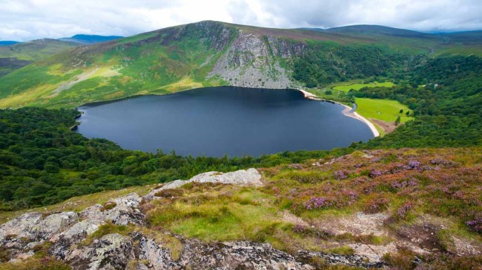 Questo lago in Irlanda sembra una pinta di Guinness