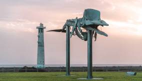 Fuerteventura: cinque spiagge del Sud che dovresti visitare