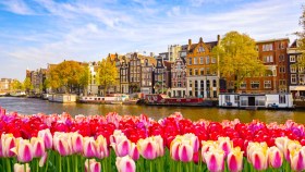 I tulipani stanno arrivando in città: Amsterdam non è mai stata così bella