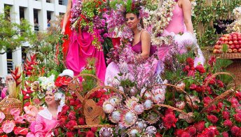 I fiori danno spettacolo in città: Madeira non è mai stata così bella