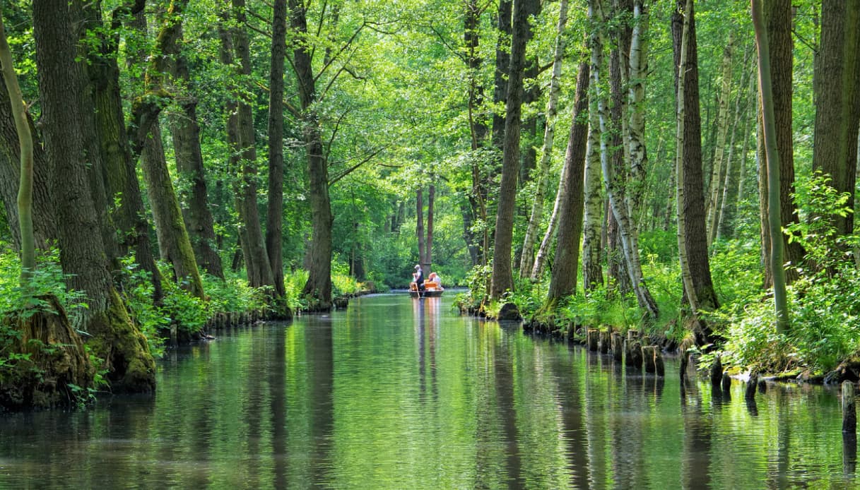 L'affascinante regione della Spreewald