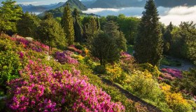 Tra altalene panoramiche e fioriture di montagna: la meravigliosa primavera del Ticino