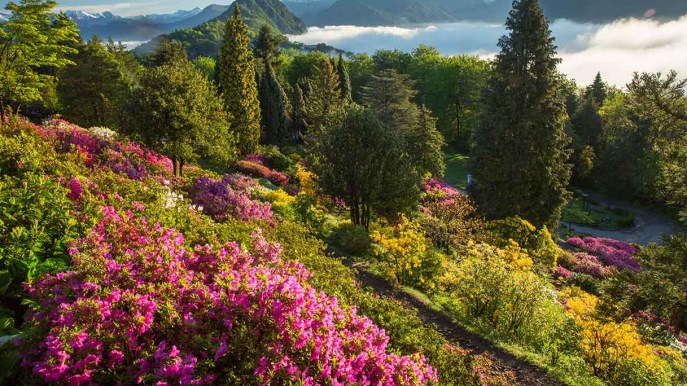 Tra altalene panoramiche e fioriture di montagna: la meravigliosa primavera del Ticino