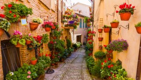 Spello, il borgo dei fiori