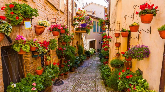 Il borgo dei fiori torna a incantare: succede in Italia