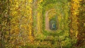 Il luogo più romantico del mondo è un tunnel incantato immerso nella natura