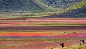 Castelluccio di Norcia: tutto pronto per la fioritura più bella del mondo