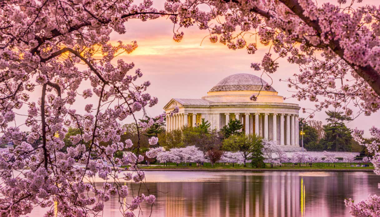 Journée nationale des fleurs de cerisier