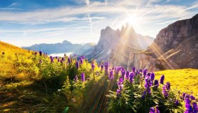 Le spettacolari fioriture della Val Gardena