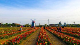 In Italia c’è una “piccola Olanda” a due passi dalla città