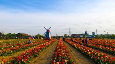 In Italia c’è una “piccola Olanda” a due passi dalla città