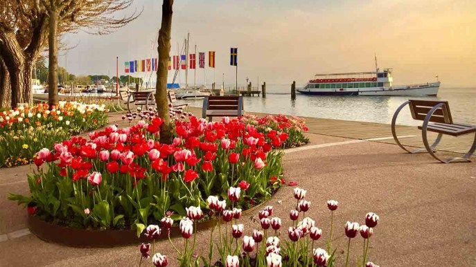 Nel borgo vista lago sbocciano i tulipani. Ed è una meraviglia